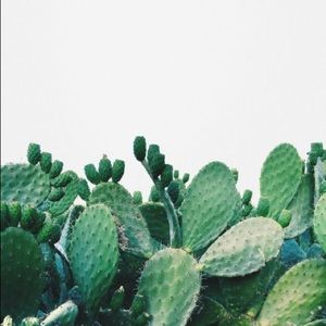 Meet your Posher, Rodrigo